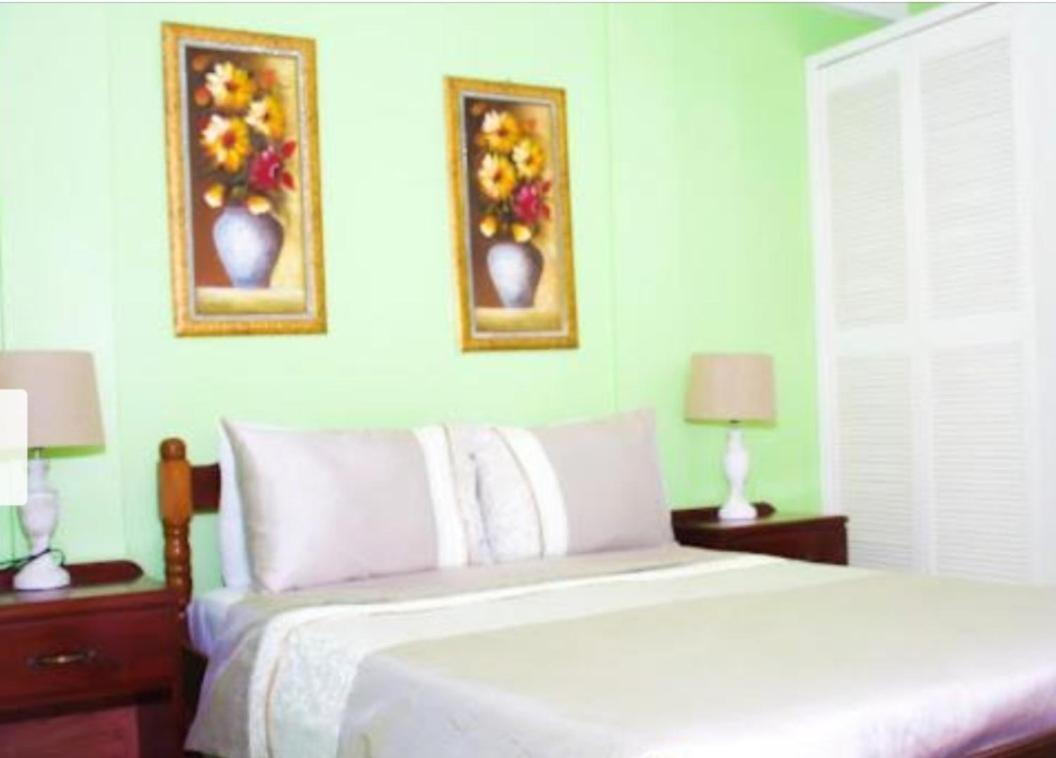 Silver View Apartments St. George's Dış mekan fotoğraf